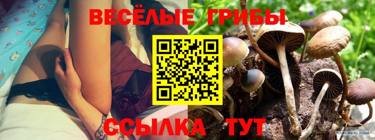 Галлюциногенные грибы Magic Shrooms  Вход с VPN  Псилоцибиновые грибы мицелий  Железноводск 